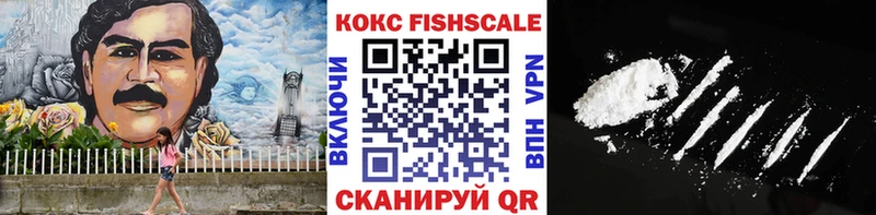 OMG как войти  Сланцы  Cocaine Fish Scale 