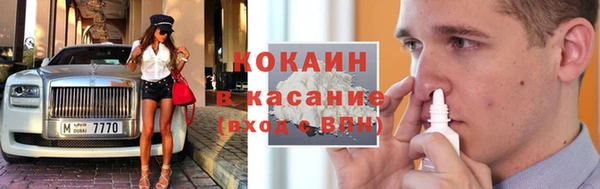 крисы Покачи