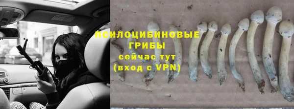 крисы Покачи