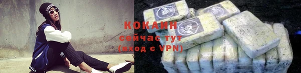 крисы Покачи