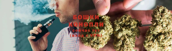 прущие грибы Пересвет