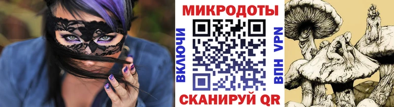где можно купить   дарк нет телеграм  Псилоцибиновые грибы MAGIC MUSHROOMS  Сланцы 