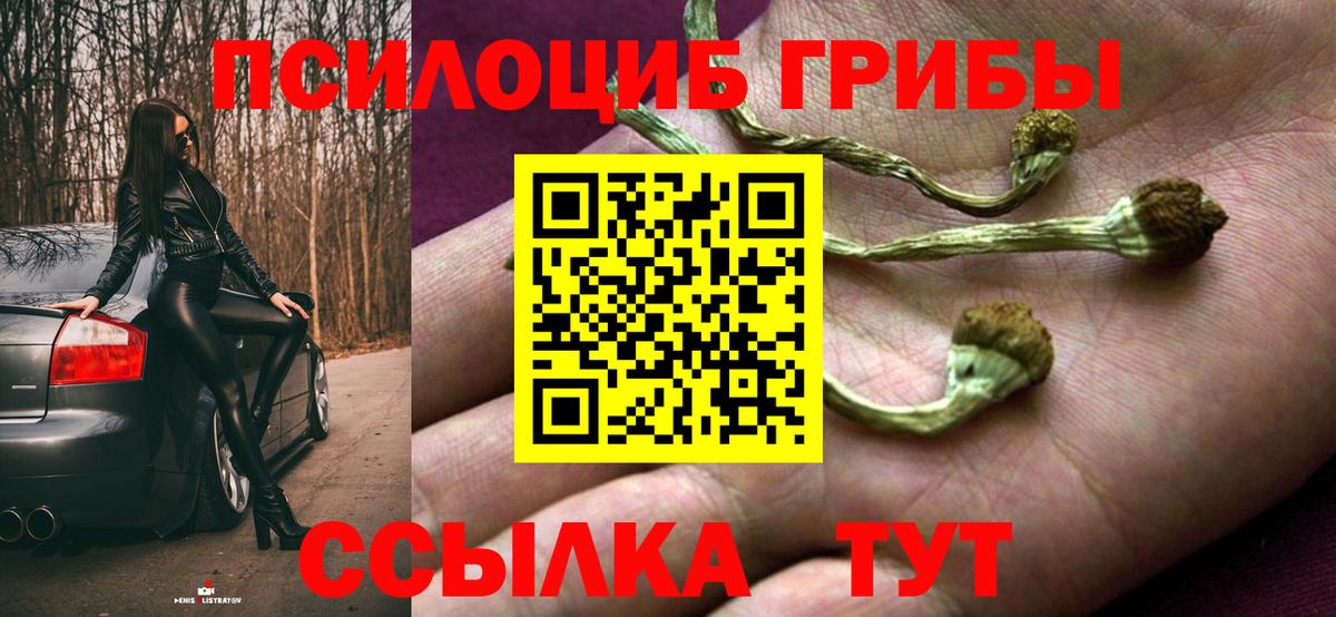 Псилоцибиновые грибы прущие грибы  Вход с VPN  Сланцы 