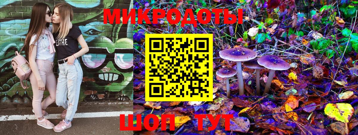 Псилоцибиновые грибы GOLDEN TEACHER Сланцы