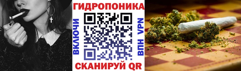 где найти   Сланцы  Канабис Ganja 