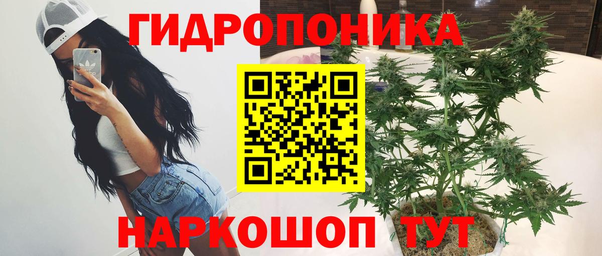 Марихуана сатива Сланцы